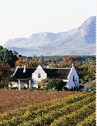 vineyard - suntours sa